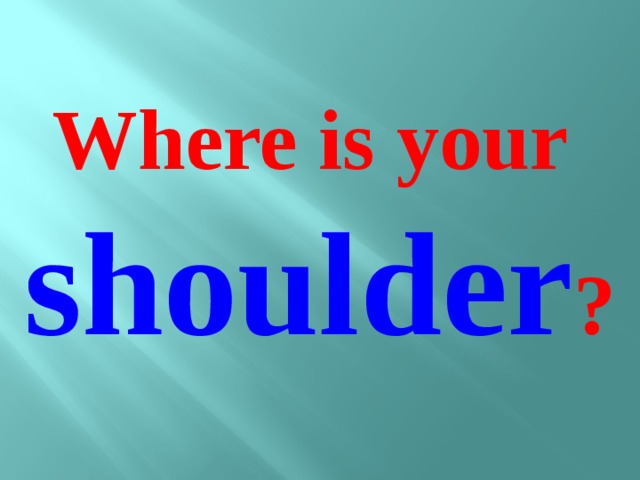 Where is your shoulder ?