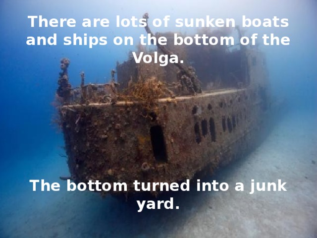 There are lots of sunken boats and ships on the bottom of the Volga.        The bottom turned into a junk yard.