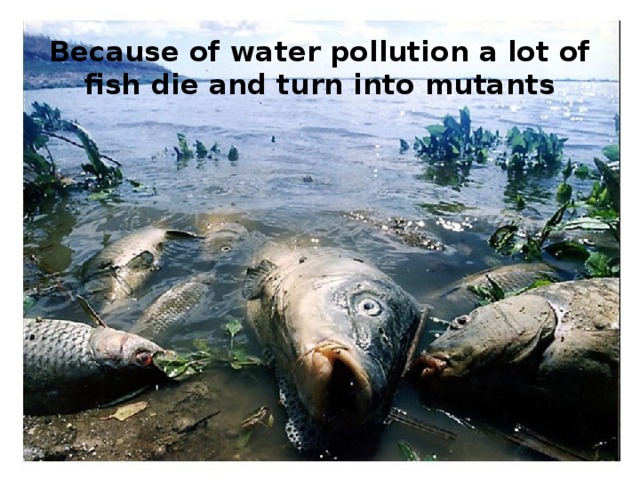 Because of water pollution a lot of fish die and turn into mutants