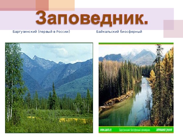 Баргузинский (первый в России) Байкальский биосферный