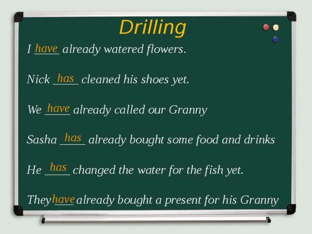 Drilling have I ____ already watered flowers.  Nick ____ cleaned his shoes yet.  We ____ already called our Granny  Sasha ____ already bought some food and drinks  He ____ changed the water for the fish yet.  They ___ already bought a present for his Granny   has have has has have