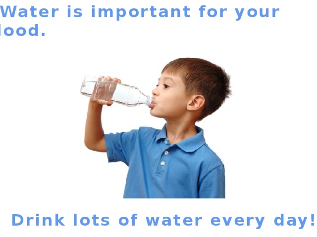 Water is important for your blood. Drink lots of water every day!