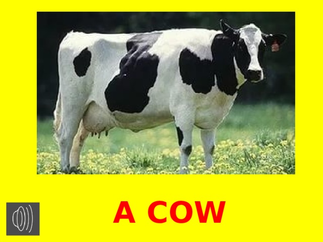 A COW