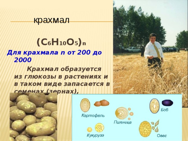 крахмал  (С 6 Н 10 О 5 ) n Для крахмала n от 200 до 2000   Крахмал образуется из глюкозы в растениях и в таком виде запасается в семенах (зернах), клубнях.