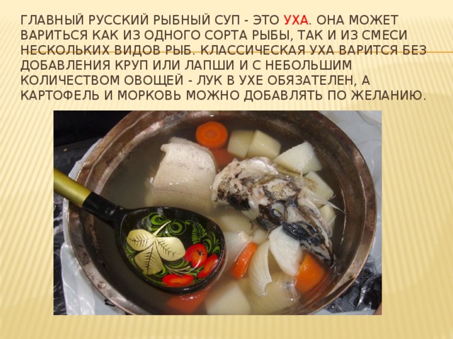Главный русский рыбный суп - это уха . Она может вариться как из одного сорта рыбы, так и из смеси нескольких видов рыб. Классическая уха варится без добавления круп или лапши и с небольшим количеством овощей - лук в ухе обязателен, а картофель и морковь можно добавлять по желанию.