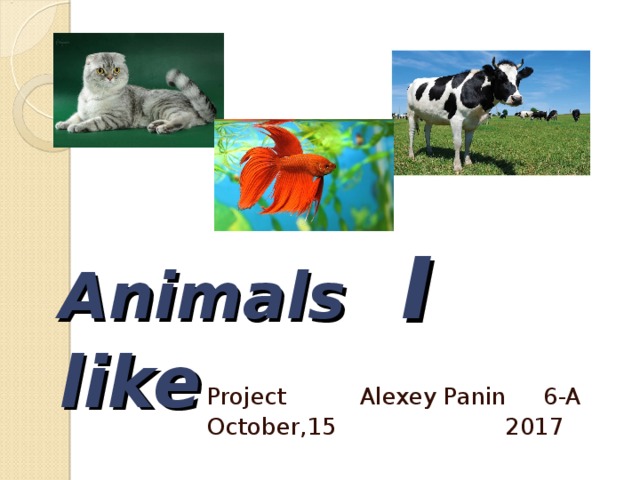 Animals   I  like Project Alexey Panin 6-A October,15 2017