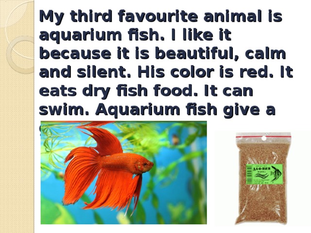 My third favourite animal is aquarium fish. I like it because it is beautiful, calm and silent. His color is red. It eats dry fish food. It can swim. Aquarium fish give a good mood.