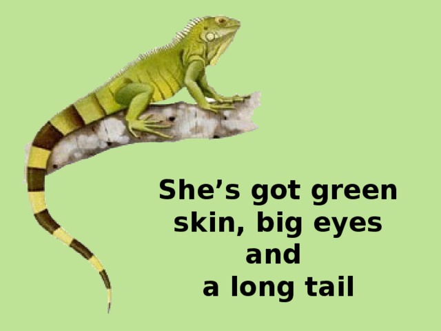 She’s got green skin, big eyes and  a long tail
