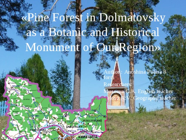 «Pine Forest in Dolmatovsky  as a Botanic and Historical Monument of Our Region»         Author : Anoshina Polina 8 form Researchers: Museeva G.A. English teacher Belova A . V . Geography teacher    