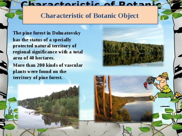 Characteristic of Botanic Object   Characteristic of Botanic Object   The pine forest in Dolmatovsky has the status of a specially protected natural territory of regional significance with a total area of 40 hectares.  More than 200 kinds of vascular plants were found on the territory of pine forest .