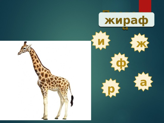 Проверка  жираф и ж ф а р