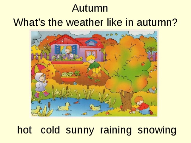 Autumn What’s the weather like in autumn? hot cold sunny raining snowing