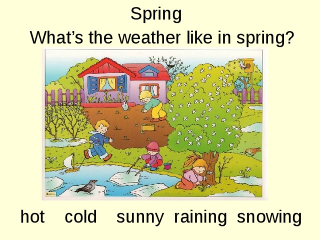 Spring What’s the weather like in spring? hot cold sunny raining snowing