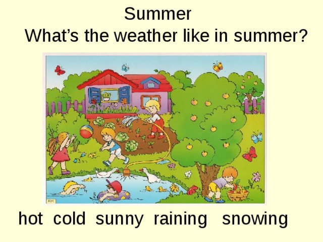 Summer What’s the weather like in summer? hot cold sunny raining snowing