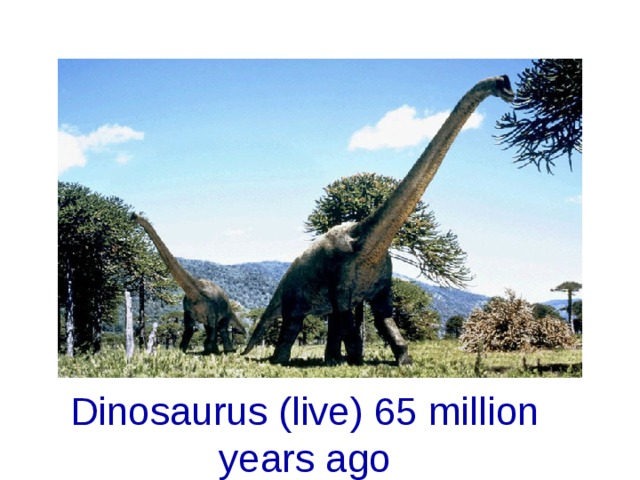 Dinosaurus (live) 65 million years ago