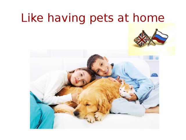 Like having pets at home