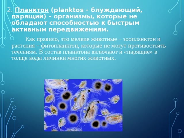2. Планктон (planktos – блуждающий, парящий) – организмы, которые не обладают способностью к быстрым активным передвижениям.   Как правило, это мелкие животные – зоопланктон и растения – фитопланктон, которые не могут противостоять течениям. В состав планктона включают и «парящие» в толще воды личинки многих животных.
