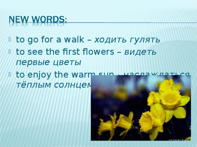 to go for a walk – ходить гулять to see the first flowers – видеть первые цветы to enjoy the warm sun - наслаждаться тёплым солнцем