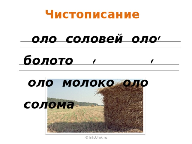 Чистописание  оло соловей оло болото  оло молоко оло солома     © InfoUrok.ru