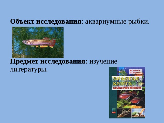 Объект исследования : аквариумные рыбки. Предмет исследования : изучение литературы.