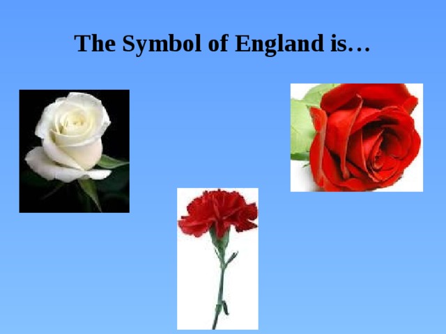 The Symbol of England is…
