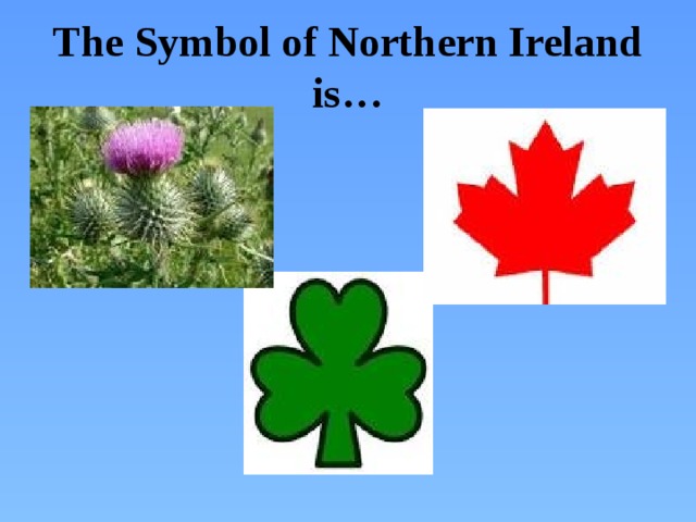 The Symbol of Northern Ireland is…