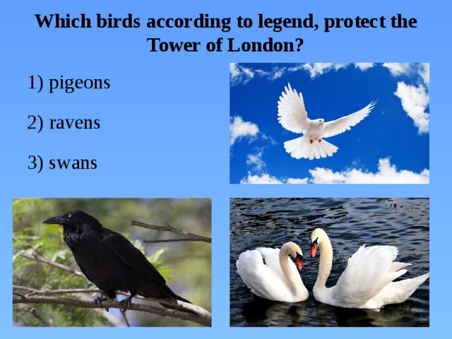 Which birds according to legend, protect the Tower of London? 1) pigeons 2) ravens 3) swans