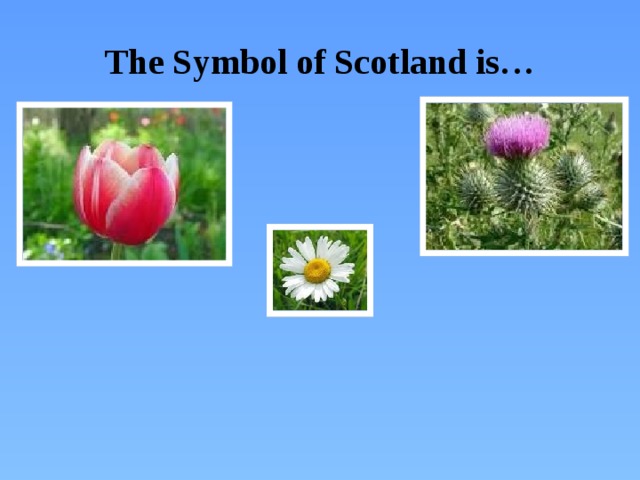 The Symbol of Scotland is…