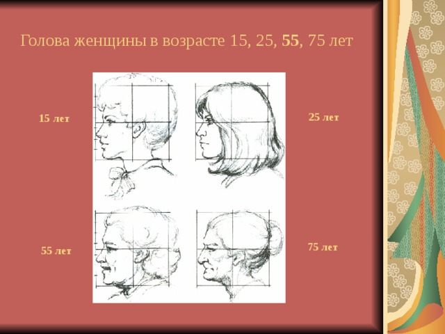 Голова женщины в возрасте 15, 25, 55 , 75 лет 25 лет 15 лет  75 лет 55 лет