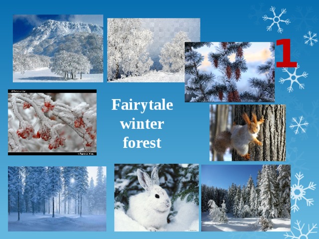 1 Fairytale winter forest