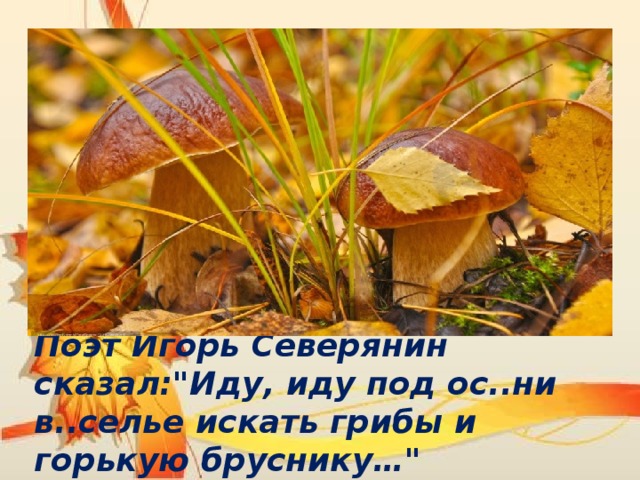 Поэт Игорь Северянин сказал: