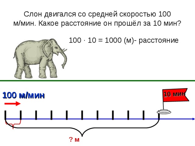 10 мин Слон двигался со средней скоростью 100 м/мин. Какое расстояние он прошёл за 10 мин? 100 ∙ 10 = 1000 (м)- расстояние 100 м/мин ? м