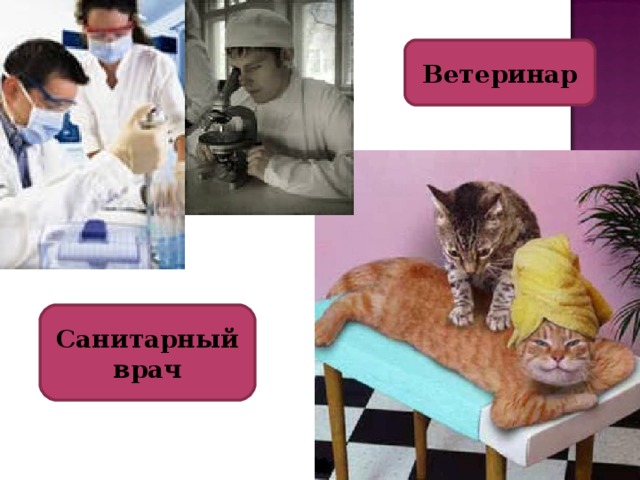 Ветеринар Санитарный врач