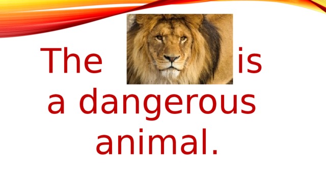 The           is a dangerous animal.
