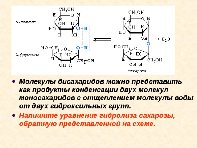 Молекулы дисахаридов можно представить как продукты конденсации двух молекул моносахаридов с отщеплением молекулы воды от двух гидроксильных групп. Напишите уравнение гидролиза сахарозы, обратную представленной на схеме.