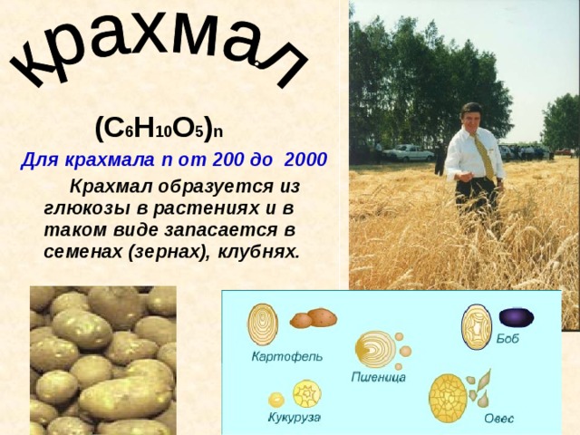 (С 6 Н 10 О 5 ) n Для крахмала n от 200 до 2000   Крахмал образуется из глюкозы в растениях и в таком виде запасается в семенах (зернах), клубнях.
