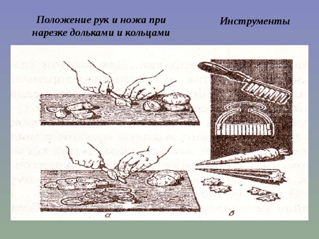 Положение рук и ножа при нарезке дольками и кольцами Инструменты Инструменты для карбования