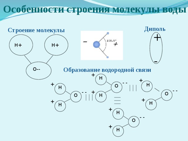 Особенности строения молекулы воды Диполь Строение молекулы + Н+ Н+ - Образование водородной связи О-- + Н + - - + Н О Н - - - - + О О Н + + Н Н + Н - - О + Н