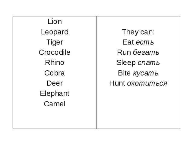 Lion Leopard Tiger Crocodile Rhino Cobra Deer Elephant Camel They can: Eat есть Run бегать Sleep  спать Bite  кусать Hunt  охотиться