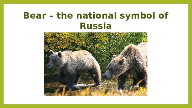 Bear – the national symbol of Russia