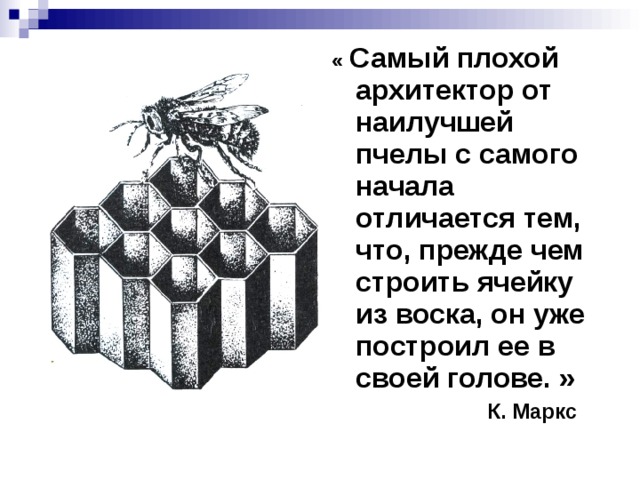 « Самый плохой архитектор от наилучшей пчелы с самого начала отличается тем, что, прежде чем строить ячейку из воска, он уже построил ее в своей голове. »  К. Маркс