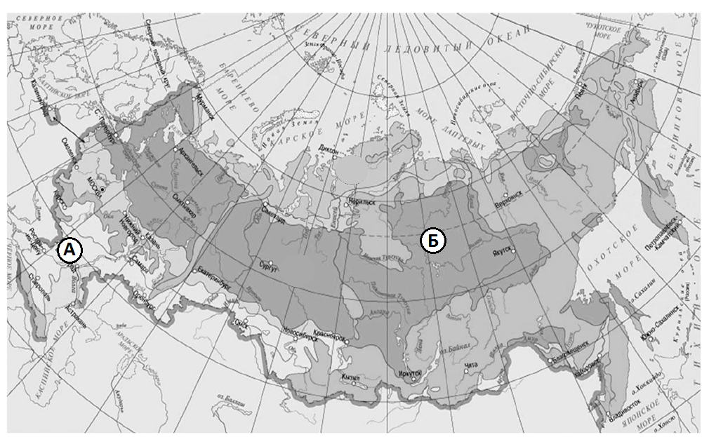 Карта природных зон россии 4 класс окружающий мир с названиями зон для впр