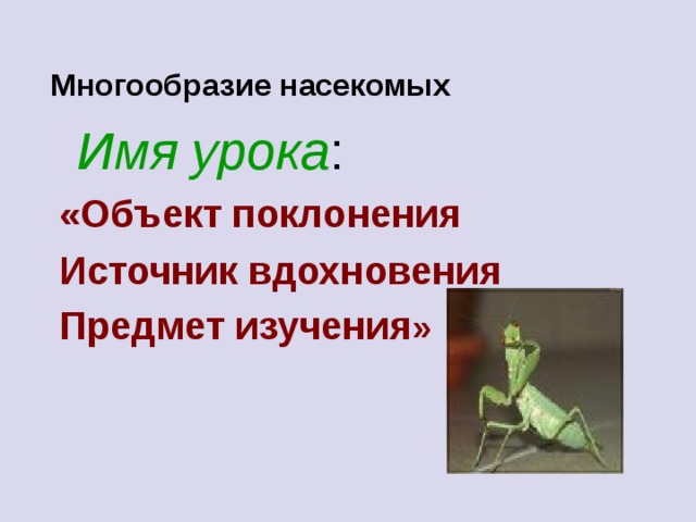 Многообразие насекомых  Имя урока :   «Объект поклонения Источник вдохновения Предмет изучения »