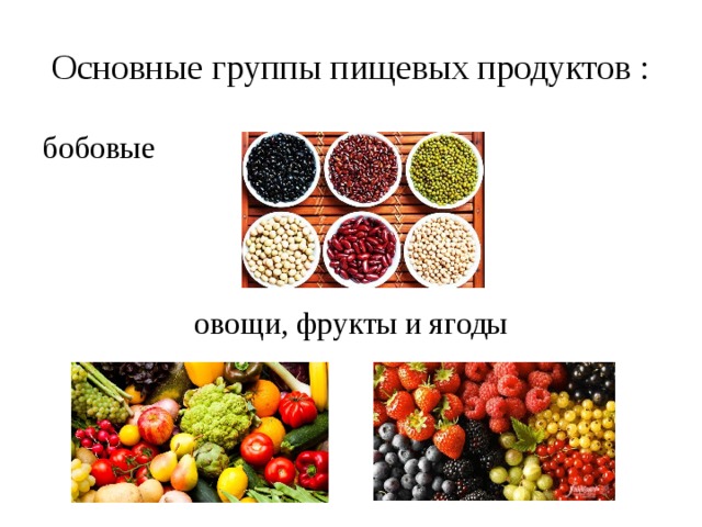 Основные группы пищевых продуктов : бобовые     овощи, фрукты и ягоды