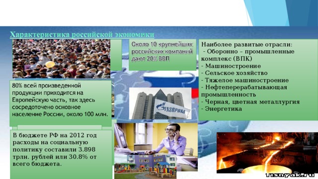Наиболее развитые отрасли:  - Оборонно – промышленные комплекс (ВПК) - Машиностроение - Сельское хозяйство - Тяжелое машиностроение - Нефтеперерабатывающая промышленность - Черная, цветная металлургия - Энергетика В бюджете РФ на 2012 год расходы на социальную политику составили 3.898 трлн. рублей или 30.8% от всего бюджета.  