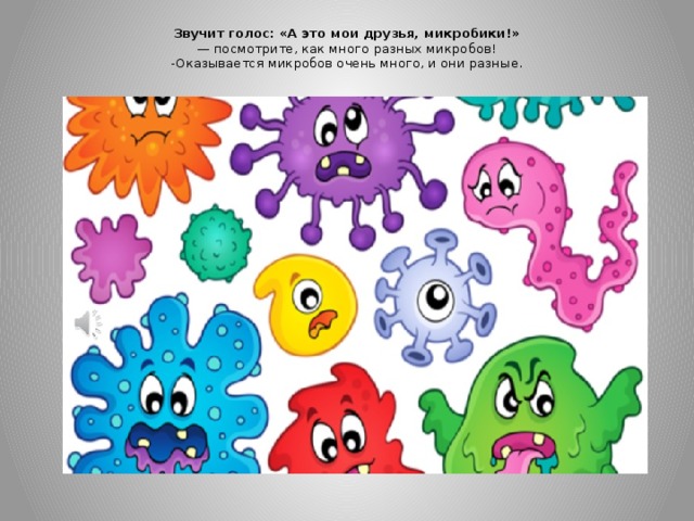 Звучит голос: «А это мои друзья, микробики!»  — посмотрите, как много разных микробов!  -Оказывается микробов очень много, и они разные.