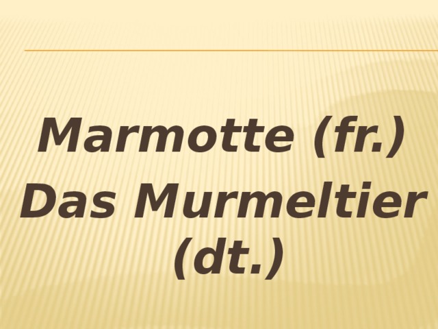 Marmotte (fr.) Das Murmeltier (dt.)