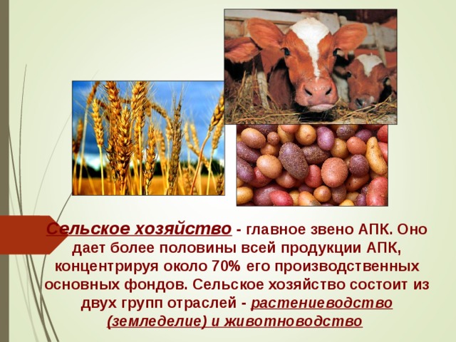 Сельское хозяйство - главное звено АПК. Оно дает более половины всей продукции АПК, концентрируя около 70% его производственных основных фондов. Сельское хозяйство состоит из двух групп отраслей - растениеводство (земледелие) и животноводство