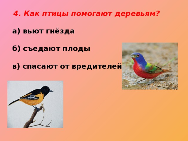 4. Как птицы помогают деревьям?  а) вьют гнёзда    б) съедают плоды   в) спасают от вредителей