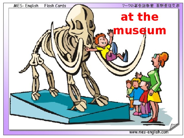 at the museum